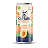 Kombucha Captain Gutsy Sunny peach 250 ml luomu