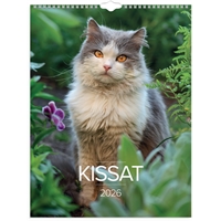 Seinäkalenteri 2026 Kissat