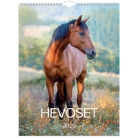 Seinäkalenteri 2026 Hevoset