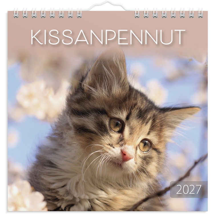 Seinäkalenteri Kissanpennut 2027