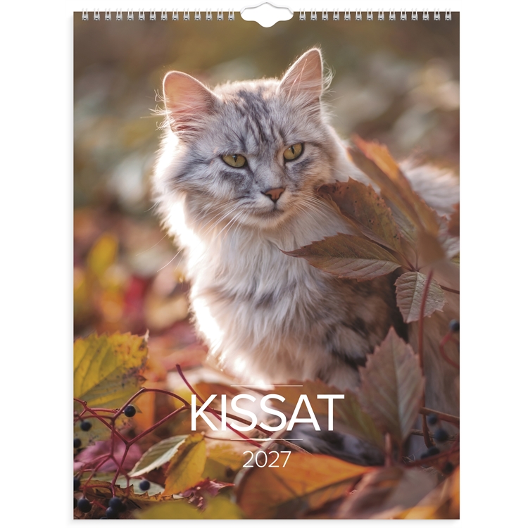Seinäkalenteri Kissat 2027