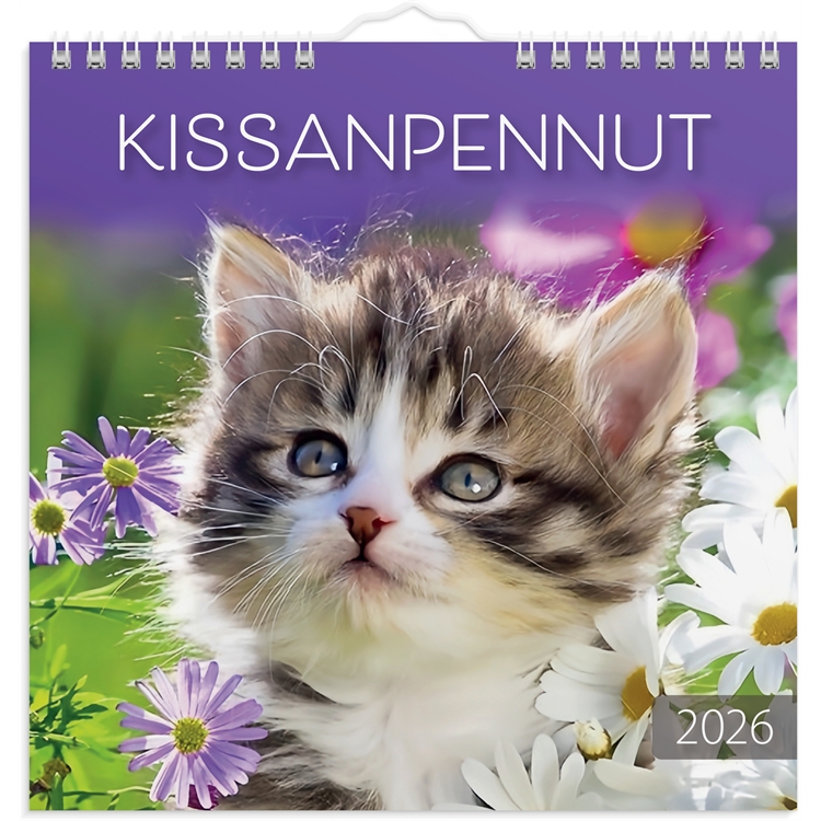 Seinäkalenteri 2026 Kissanpennut