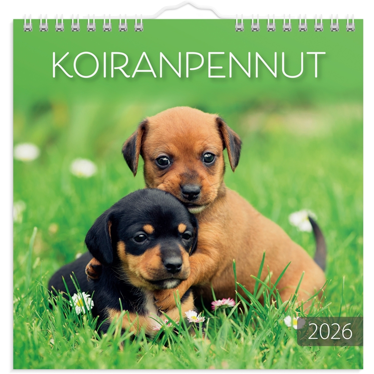 Seinäkalenteri 2026 Koiranpennut