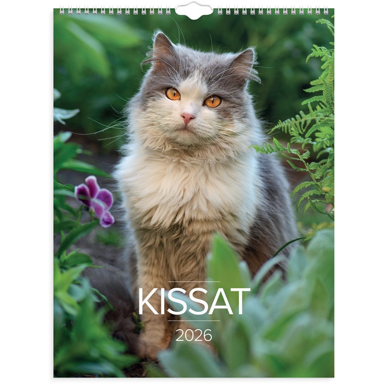 Seinäkalenteri 2026 Kissat
