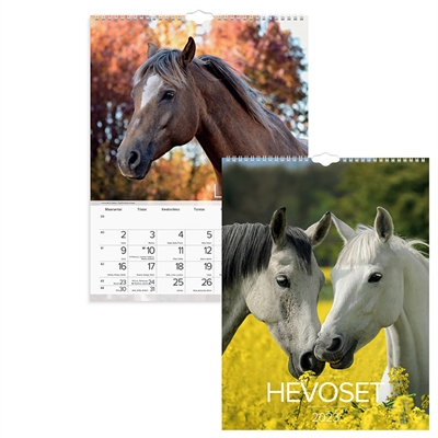 Hevoset 2023 seinäkalenteri - Burde
