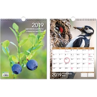 Suomen luonto 2019 seinäkalenteri