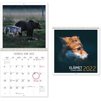 Eläimet 2022 seinäkalenteri - CC Kalenterit