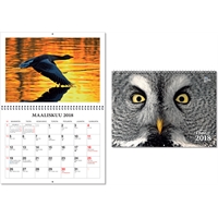 Linnut 2018 seinäkalenteri