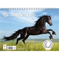 Hevoset 2022 seinäkalenteri - Ajasto